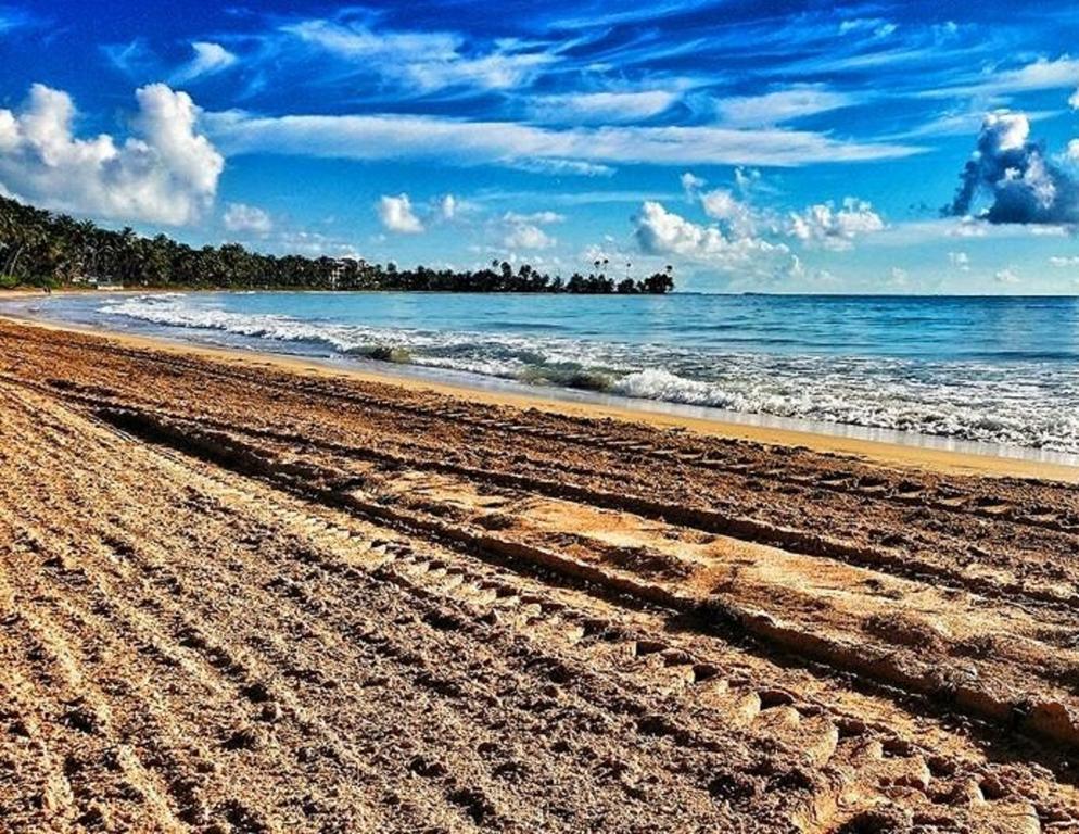 Park Royal Homestay Club Cala Puerto Rico Humacao Eksteriør billede